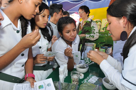 Evaluaciones_sistema