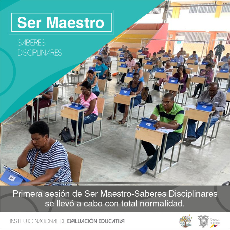 Ser Maestro Saberes Disciplinares 2019