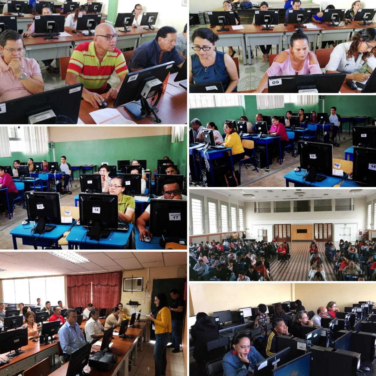 Ser Maestro Saberes Disciplinares