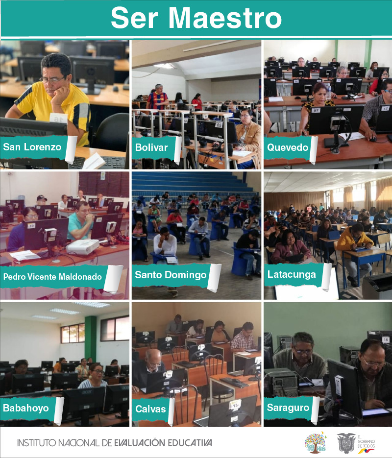 Ser Maestro Saberes Disciplinares